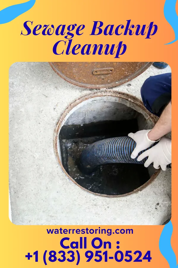 Sewage Backup Cleanup in Bolivar, TN