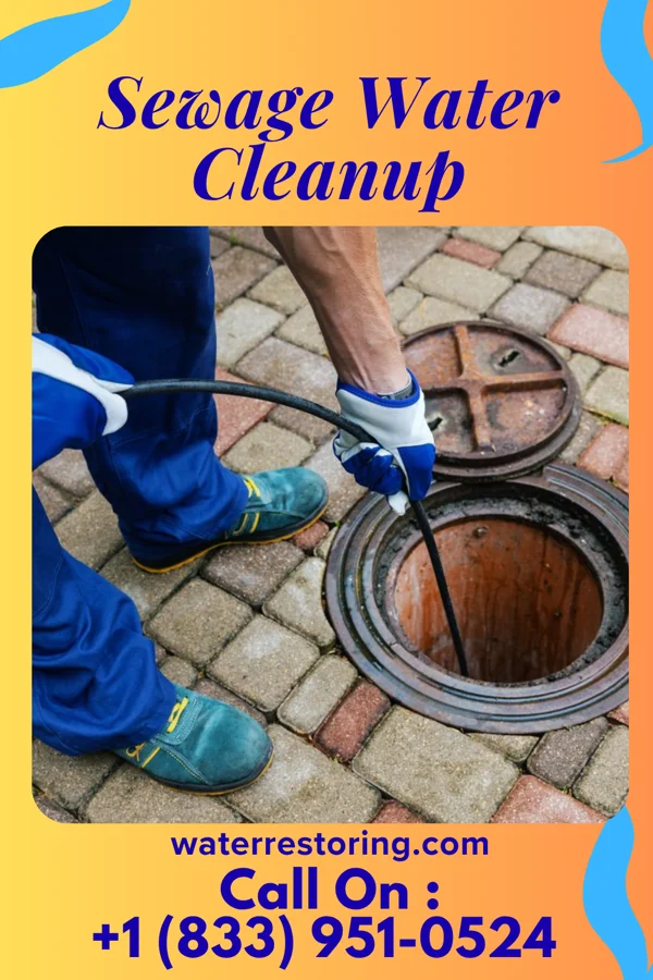 Sewage Water Cleanup in Bolivar, TN